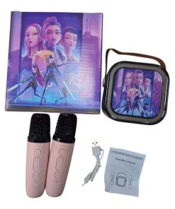 karaoke 2 microfon
